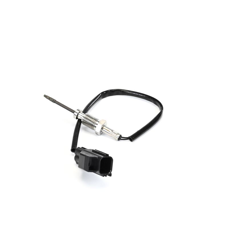 Compre Sensor, temperatura dos gases de escape da DELPHI TS30392-12B1 a um preço baixo por 75,36 €