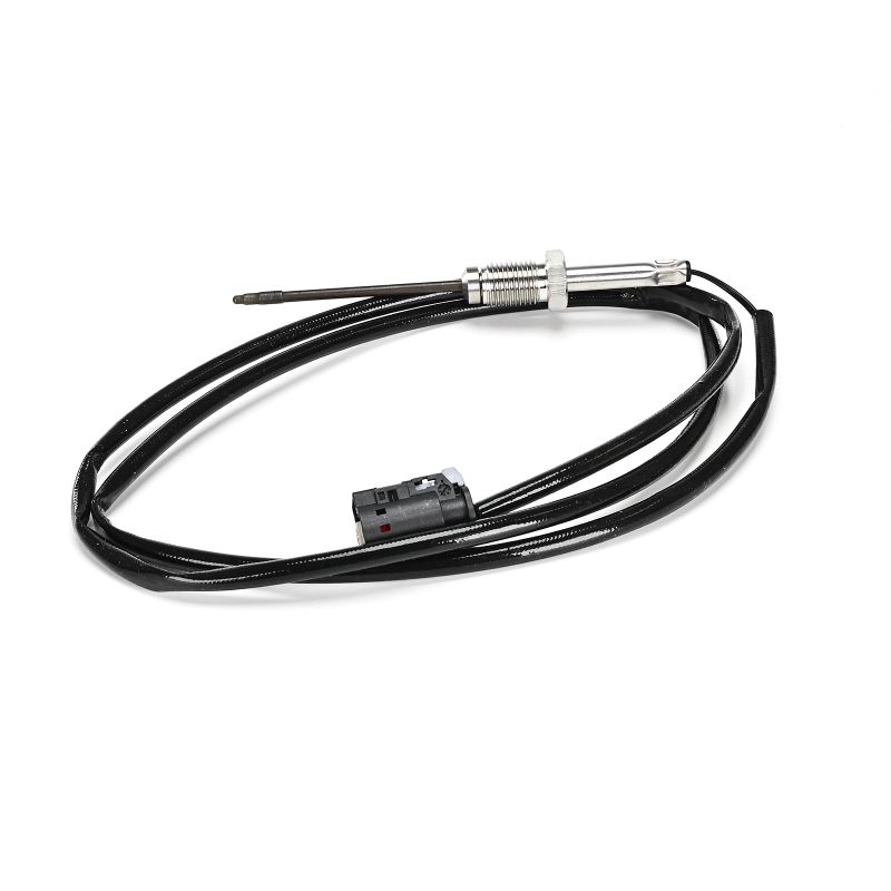 Köp Avgastempgivare av DELPHI TS30404-12B1 till det låga priset 1023,87 kr