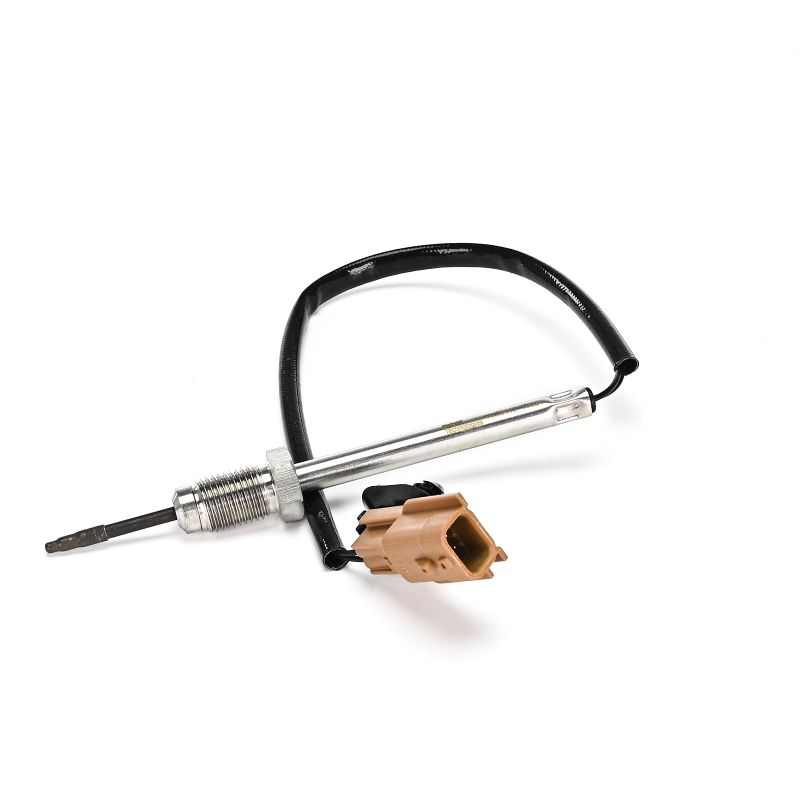 Abgastemperatursensor von DELPHI