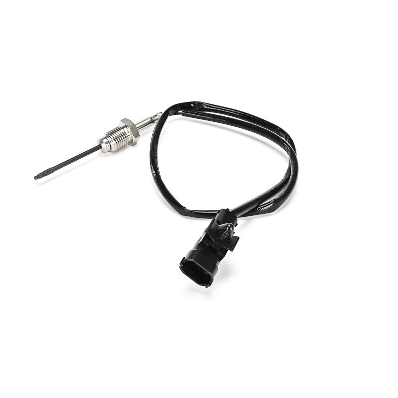 Köp Avgastempgivare av DELPHI TS30419-12B1 till det låga priset 958,08 kr