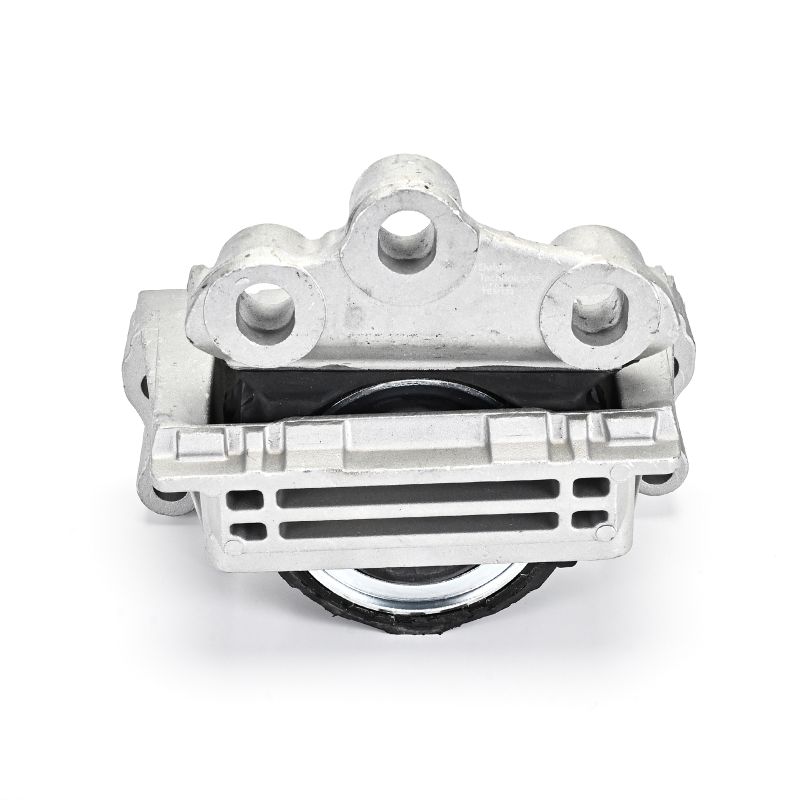 Acquista Supporto motore da DELPHI TEM133 a buon mercato per soli 70,28 €