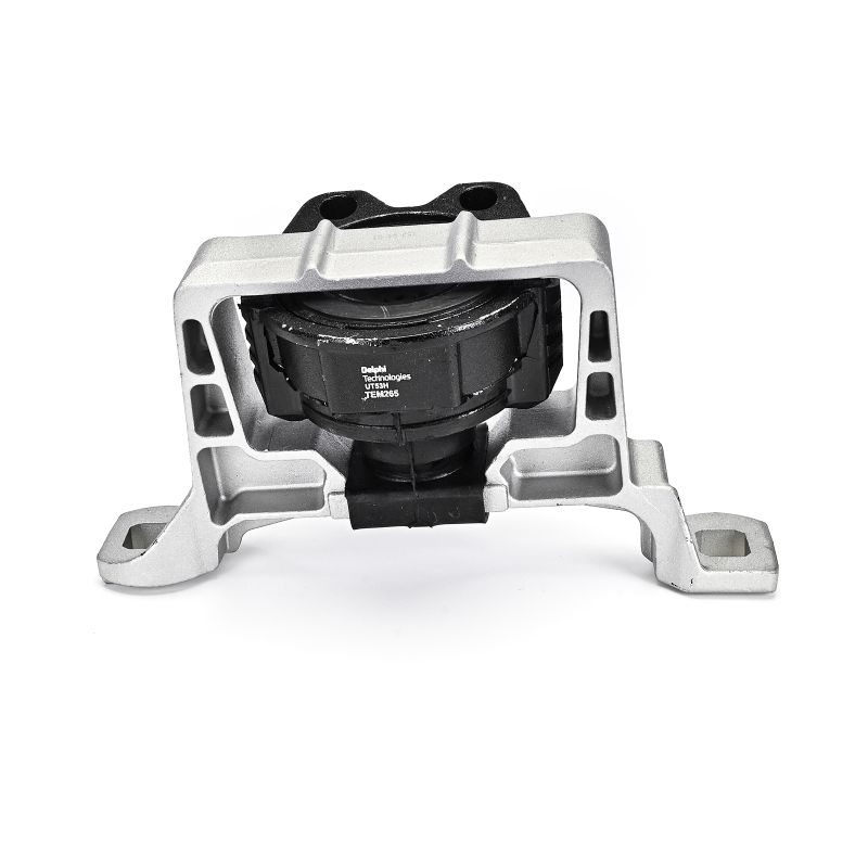 Acquista Supporto motore da DELPHI TEM265 a buon mercato per soli 42,27 €