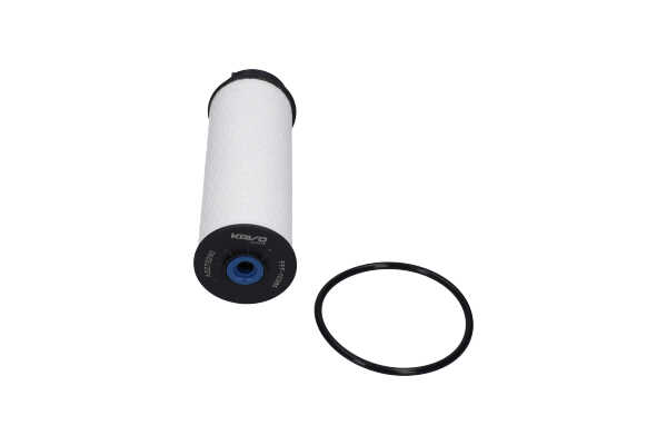 Kraftstofffilter für IVECO von KAVO PARTS
