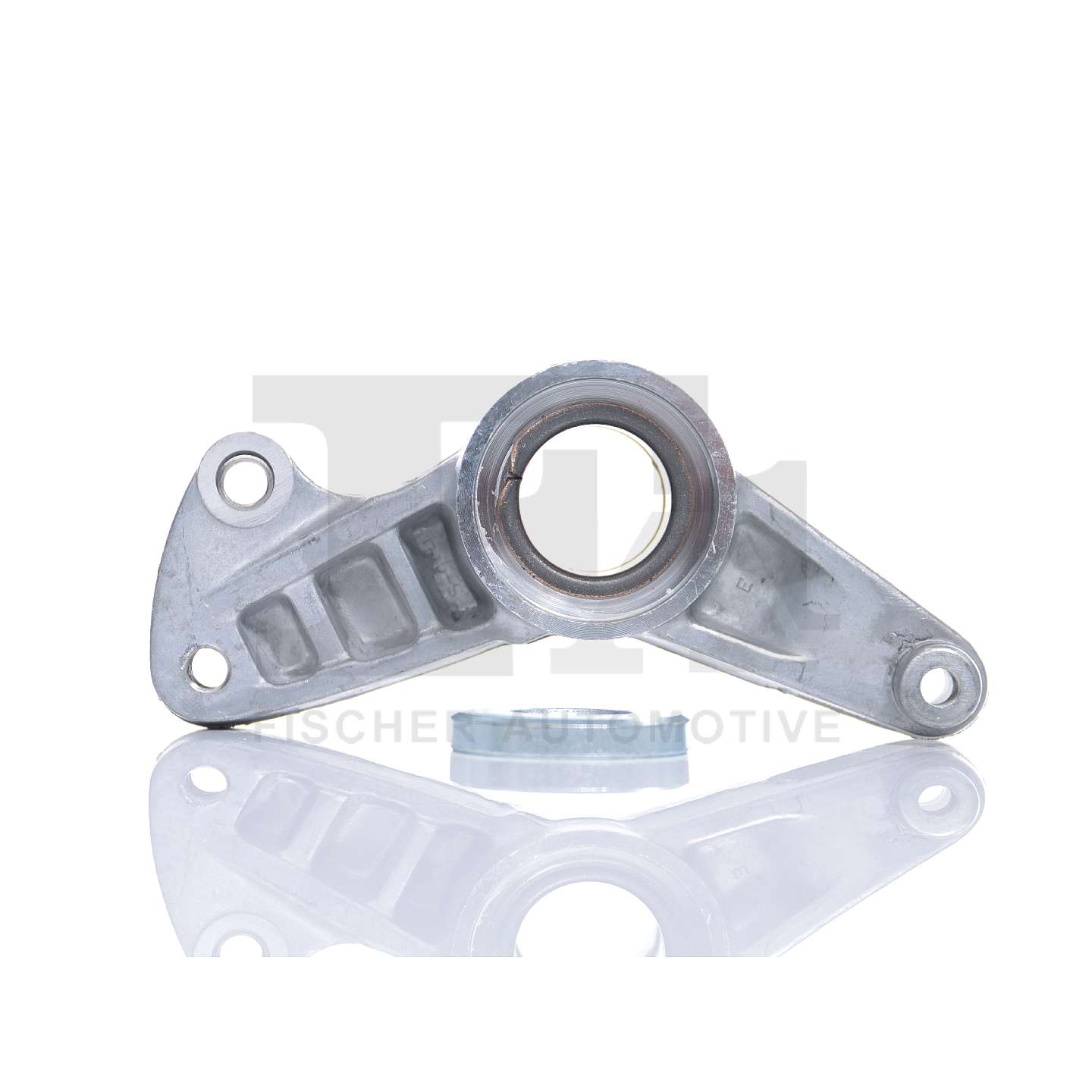 Comprar Tensor de correa poli V de FA1 NW1405-901 a bajo precio de 28,89 €