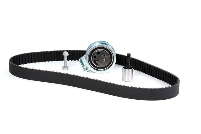 Achetez des Kit de distribution INA 530 0091 10 à prix pour 88,32 €