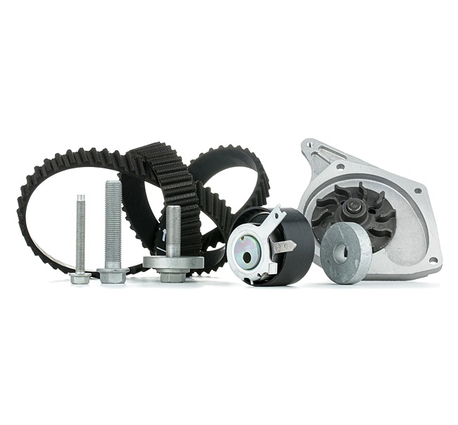 Achetez des Kit de distribution + pompe à eau INA 530 0197 30 à prix pour 94,96 €