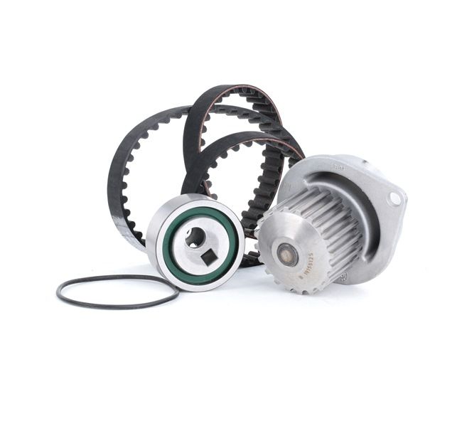 Achetez des Kit de distribution + pompe à eau INA 530 0252 30 à prix pour 73,53 €