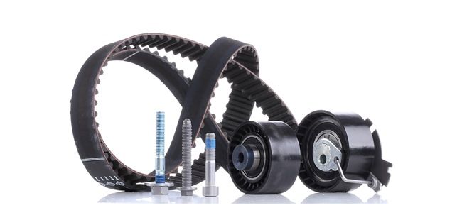 Achetez des Kit de distribution INA 530 0379 10 à prix pour 59,35 €