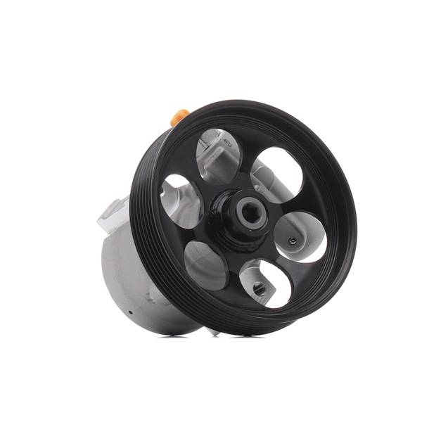 Osta Ohjaustehostimen pumppu RIDEX REMAN:llä 12H0189R edullisesti hintaan 98,59 €