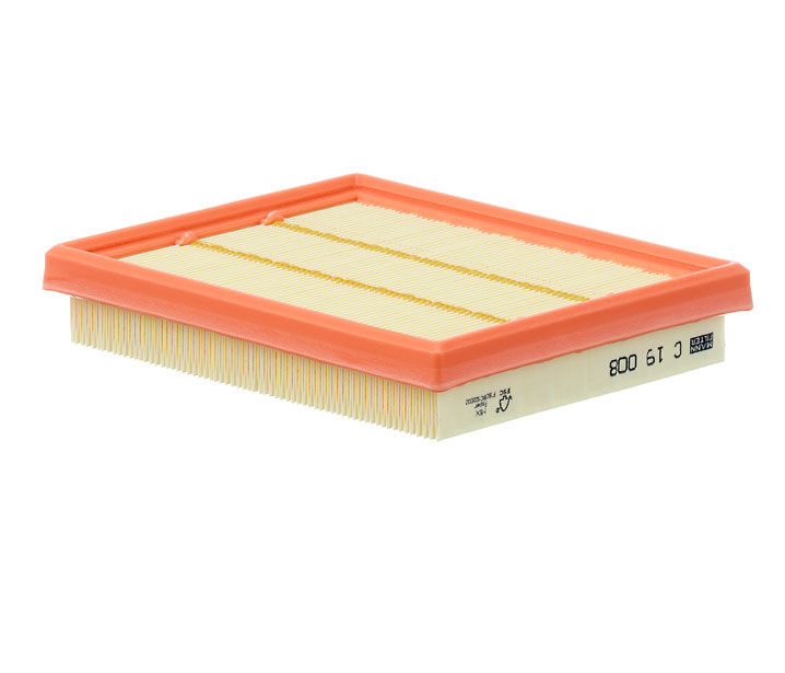 Compre Filtro de ar da MANN-FILTER C 19 008 a um preço baixo por 14,73 €