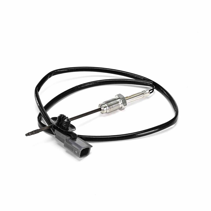 Abgastemperatursensor von DELPHI