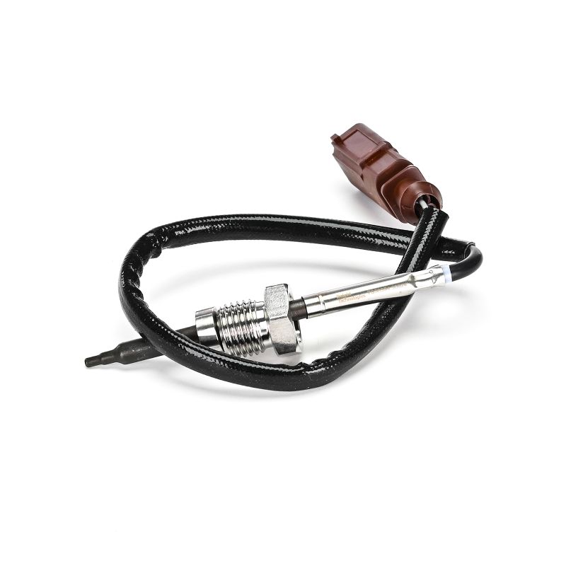 Abgastemperatursensor von DELPHI TS30394-12B1