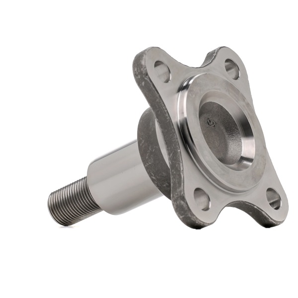 FORD Achszapfen, Achskörper 2483005 online kaufen