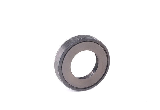 Wellendichtring, Differential NA5204 JAGUAR von PAYEN
