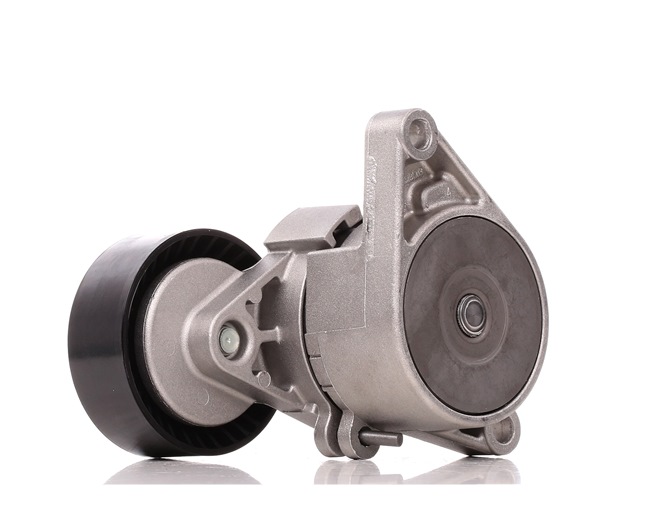 Acquista online FEBI BILSTEIN Tenditore cinghia servizi Art.: 10781