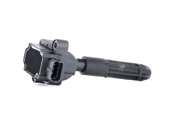 Online Shop für Zündspule von NGK EAN: 4010326480895