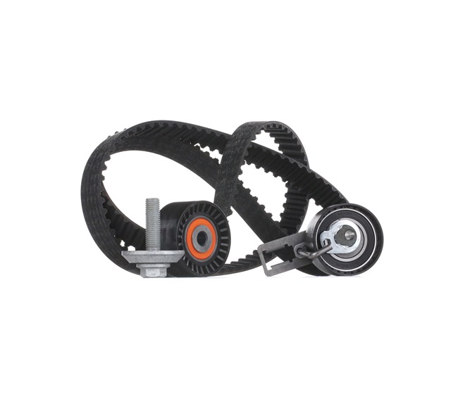 Achetez des Kit de distribution INA 530 0577 10 à prix pour 100,71 €