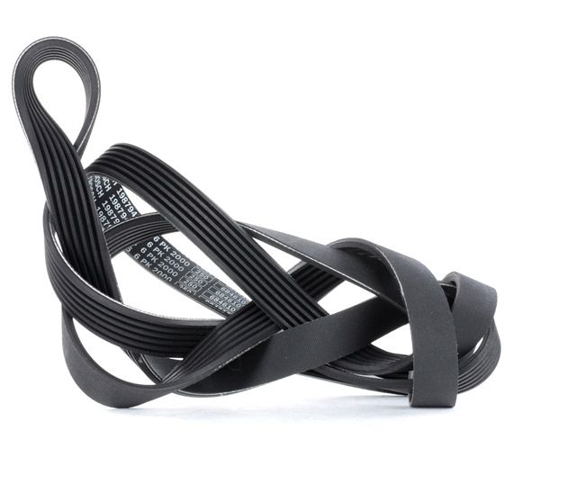 Compre Correia trapezoidal estriada da BOSCH 1 987 947 956 a um preço baixo por 15,63 €