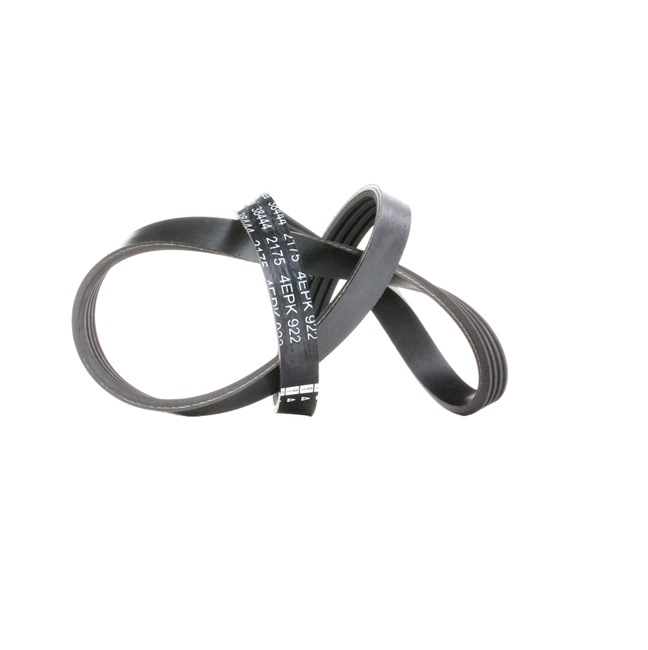 Acquista online FEBI BILSTEIN Cinghia servizi Art.: 38444