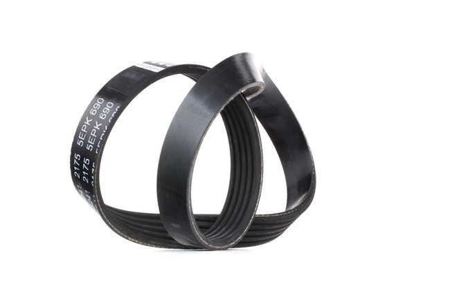 Online Shop für Keilrippenriemen von FEBI BILSTEIN EAN: 4027816382416