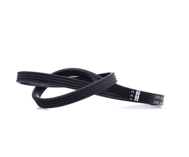 Køb FEBI BILSTEIN Kilerem Art.: 38443 online