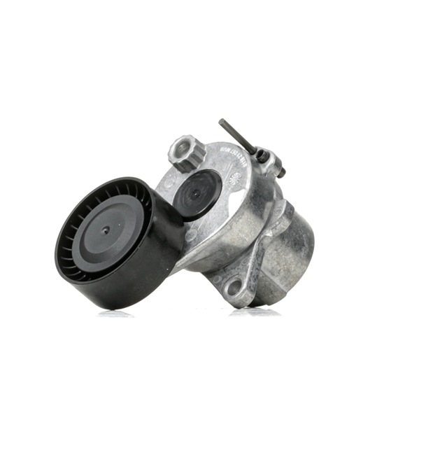 Compre FEBI BILSTEIN Tensor de correia, correia trapezoidal estriada Art.: 38468 online