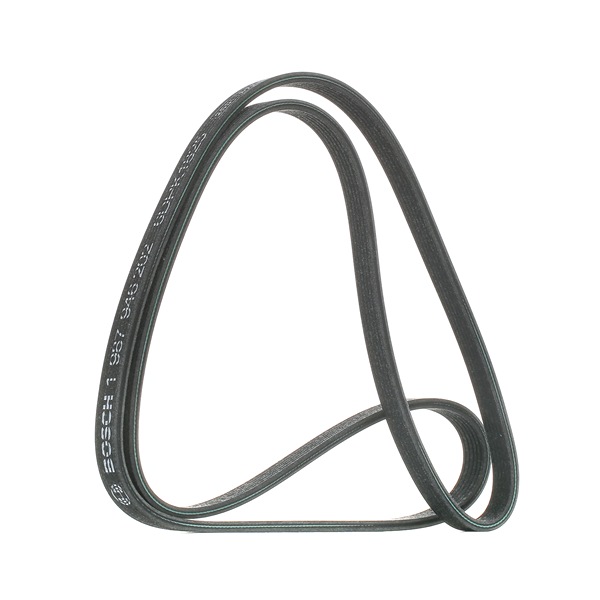 Online Shop für Keilrippenriemen von BOSCH EAN: 3165143174357