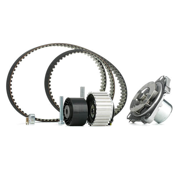 Achetez des Kit de distribution + pompe à eau INA 530 0561 30 à prix pour 139,94 €