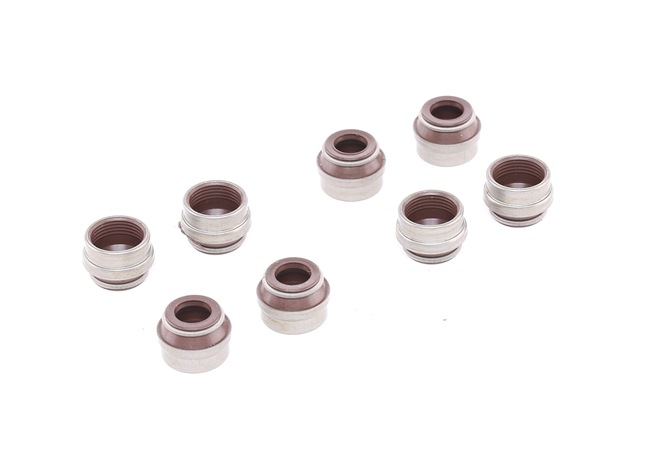 Dichtungssatz, Ventilschaft 57004900