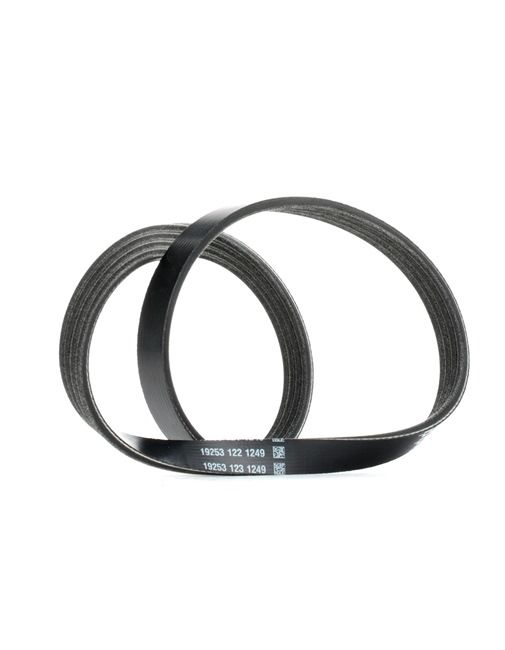 Compre DAYCO Correia trapezoidal estriada Art.: 4PK830EE online