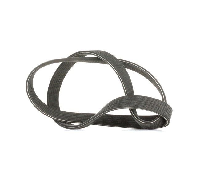 Acquista online DAYCO Cinghia servizi Art.: 6DPK1188