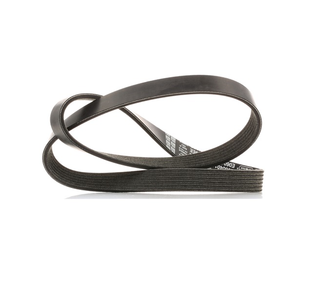 Achetez des DAYCO Courroie Poly-V Art.: 6PK1019EE en ligne