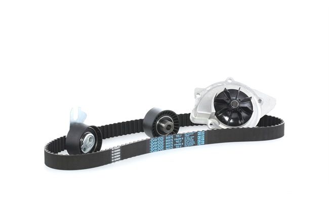 Achetez des Kit de distribution + pompe à eau AIRTEX WPK-169001 à prix pour 105,65 €