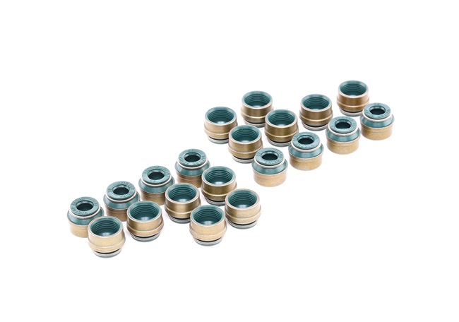 Comprar Juego de juntas, vástago de válvula de REINZ 12-26058-04 a bajo precio de 17,70 €