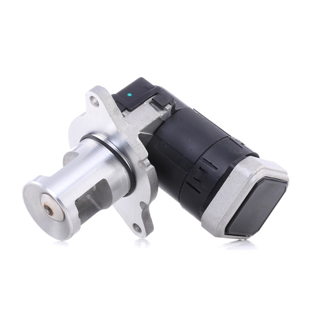 Acquista online PIERBURG Valvola EGR Art.: 7.24809.36.0