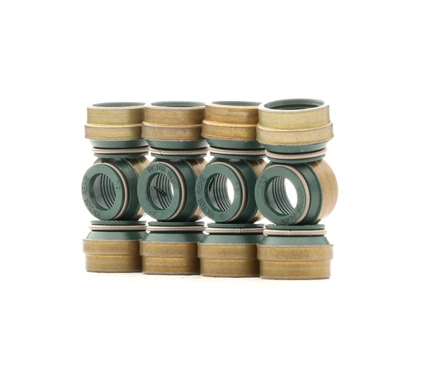 Comprar Juego de juntas, vástago de válvula de REINZ 12-25837-03 a bajo precio de 10,29 €