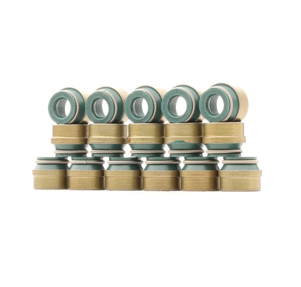 Comprar Juego de juntas, vástago de válvula de REINZ 12-26058-03 a bajo precio de 14,80 €