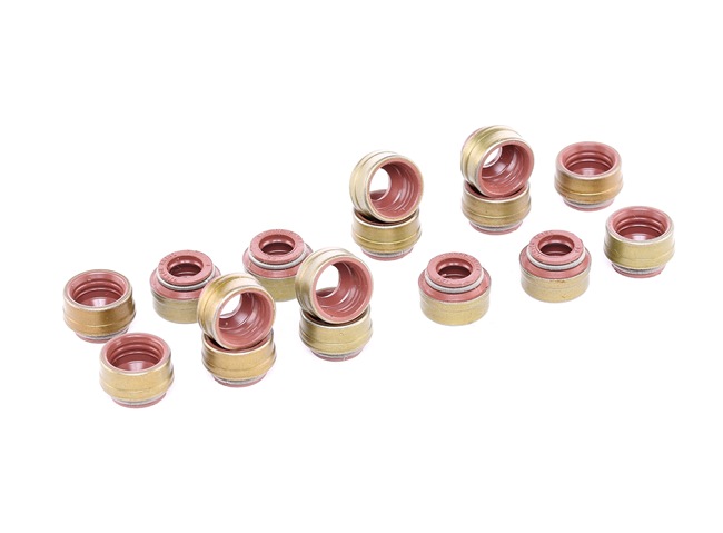 Comprar Juego de juntas, vástago de válvula de REINZ 12-29491-01 a bajo precio de 15,01 €