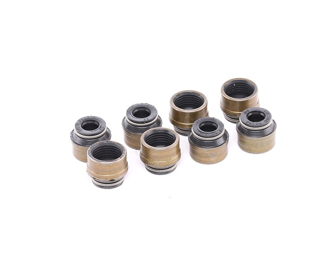 Comprar Juego de juntas, vástago de válvula de REINZ 12-31306-07 a bajo precio de 11,68 €