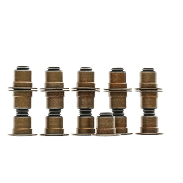 Comprar Juego de juntas, vástago de válvula de REINZ 12-35549-01 a bajo precio de 35,13 €
