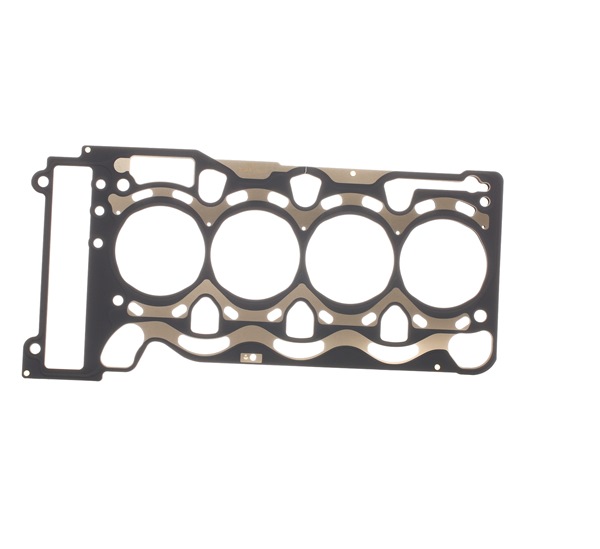 Compre REINZ Junta, cabeça do motor Art.: 61-36255-00 online