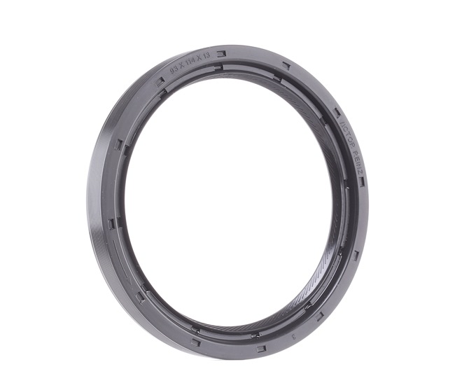 Comprar Anillo retén, cigüeñal de REINZ 81-26249-00 a bajo precio de 14,40 €