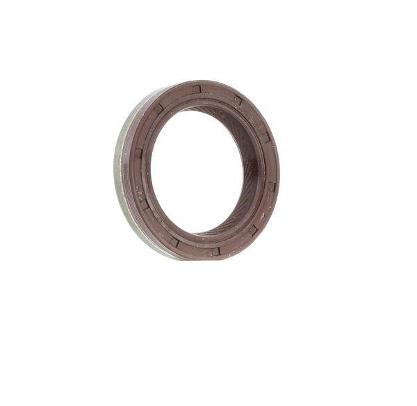 Osta Akselitiiviste, kampiakseli REINZ:llä 81-37461-00 edullisesti hintaan 7,86 €