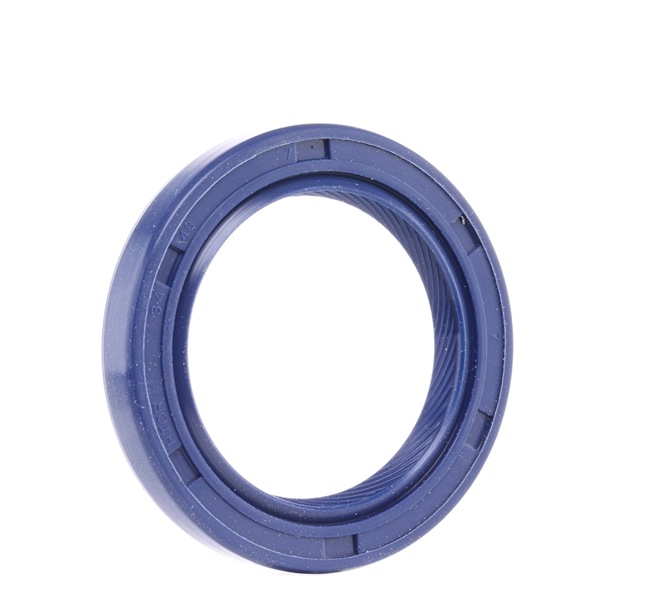 Osta Akselitiiviste, kampiakseli REINZ:llä 81-53243-00 edullisesti hintaan 5,33 €