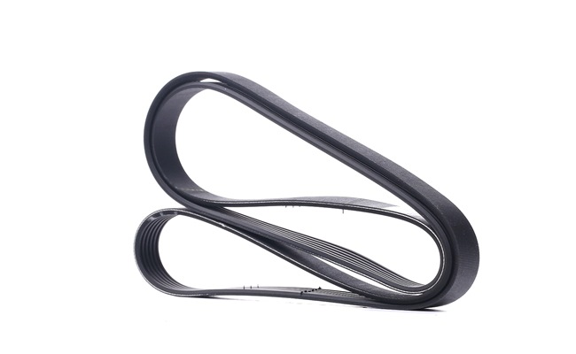 Acquista online SNR Cinghia servizi Art.: CA6PK1740