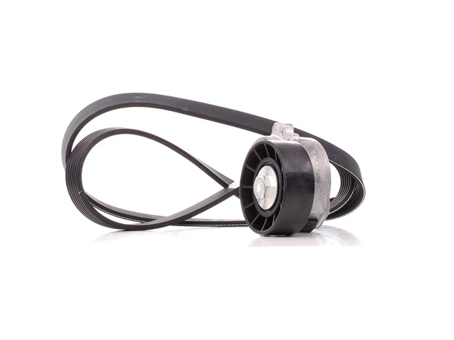 Achetez des Kit de courroie d'accessoire de chez DAYCO en ligne pour C4 I Van / 3/5 portes (LR_) à prix modérés