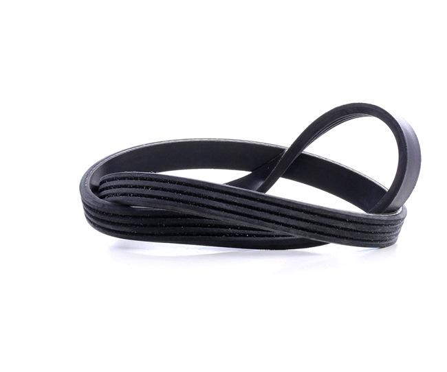 Online Shop für Keilrippenriemen von FEBI BILSTEIN EAN: 4027816397816