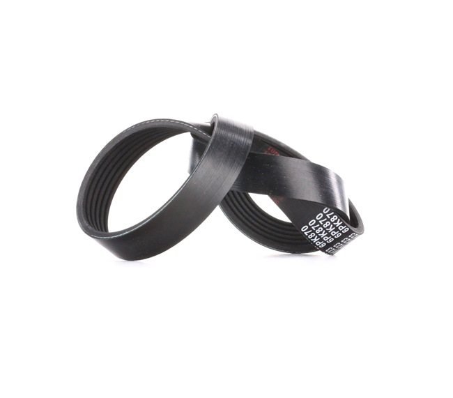 Acquista Cinghia servizi da FEBI BILSTEIN 39802 a buon mercato per soli 8,12 €