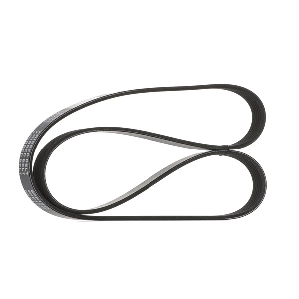 STARK SK-6PK1210 Correia do alternador NISSAN QASHQAI