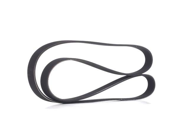 Acquista online STARK Cinghia servizi Art.: SK-6PK1540